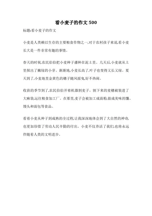 看小麦子的作文500
