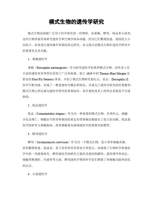 模式生物的遗传学研究