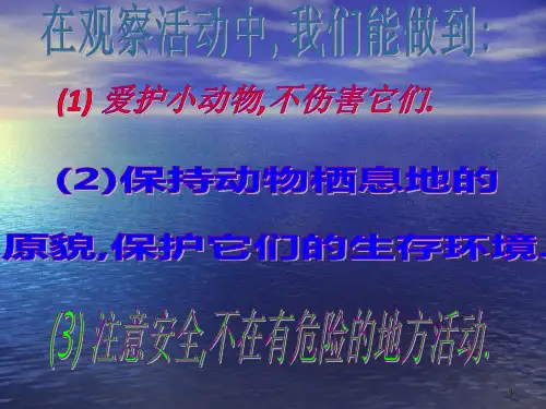 2.3校园里的小动物