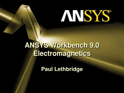 ANSYS workbench_电磁学教程综述