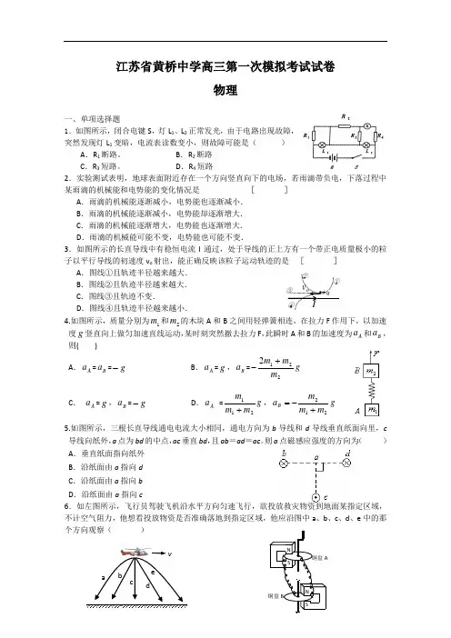 2019届高三物理第一次模拟考试试题