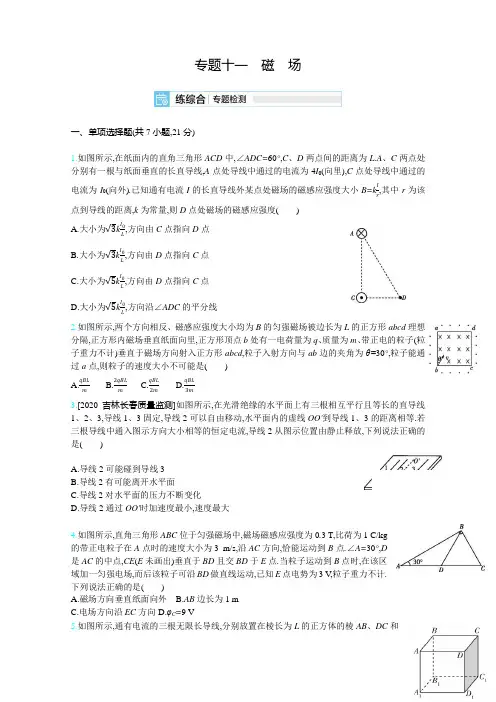 2021高考物理(新高考版)一轮复习考点考法精练：专题十一 磁 场  