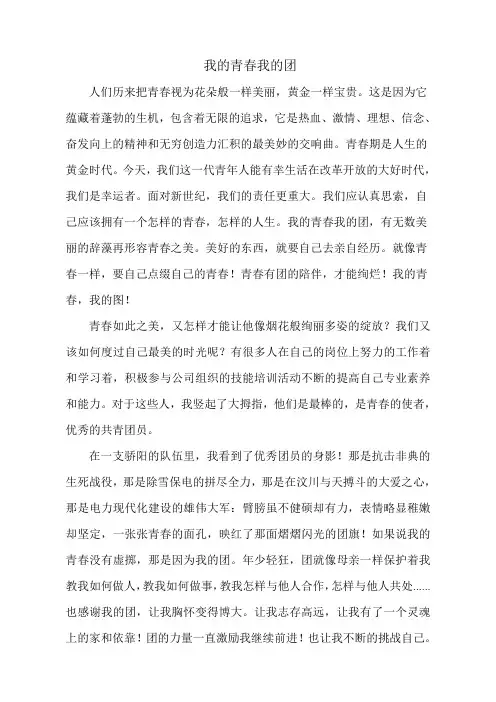 我的青春我的团