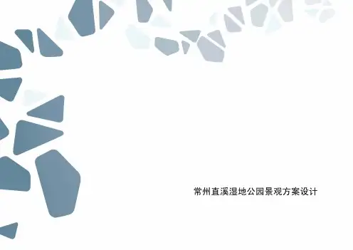 常州直溪湿地公园景观方案设计