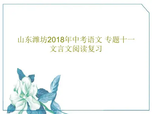 山东潍坊2018年中考语文 专题十一 文言文阅读复习共44页PPT