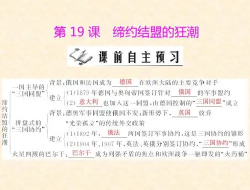 《缔约结盟的狂潮》课件1(北师大版九年级上)