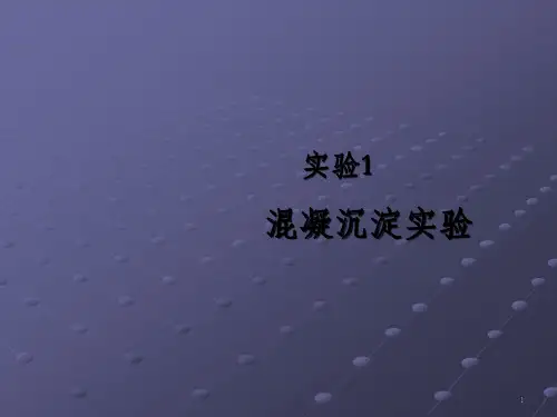 实验混凝沉淀实验