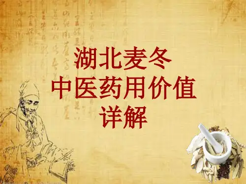 中药学_湖北麦冬_药材详解课件模板
