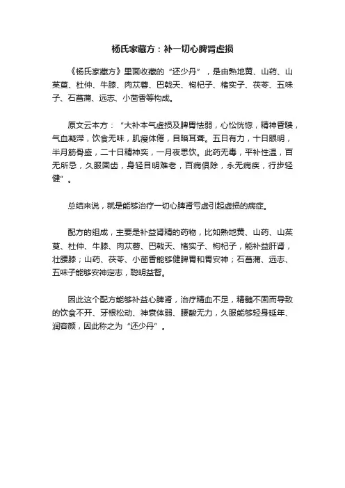 杨氏家藏方：补一切心脾肾虚损