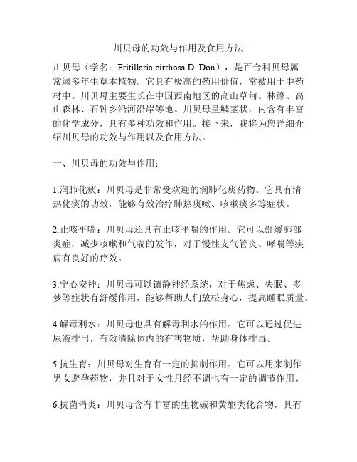 川贝母的功效与作用及食用方法