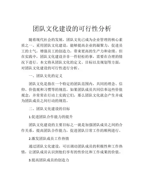团队文化建设的可行性分析