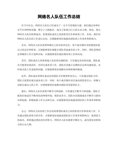 网络名人队伍工作总结
