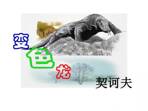 《变色龙》ppt课件——改