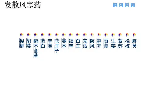 中药学 图发散风寒药