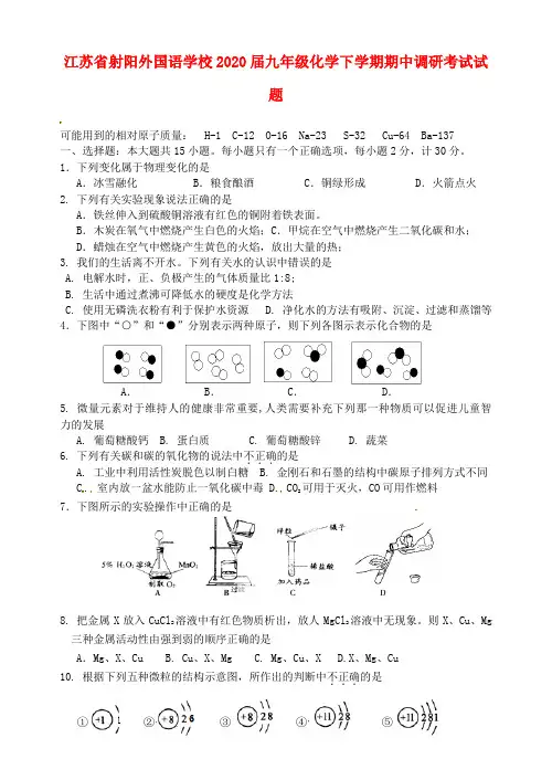 江苏省射阳外国语学校2020届九年级化学下学期期中调研考试试题