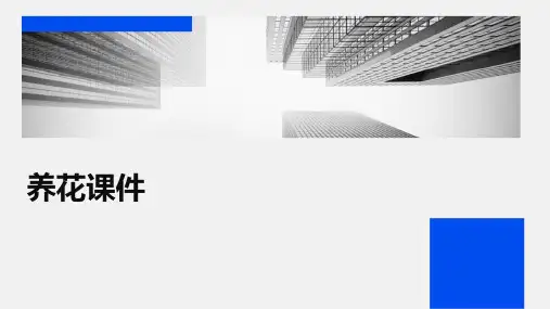 养花课件ppt