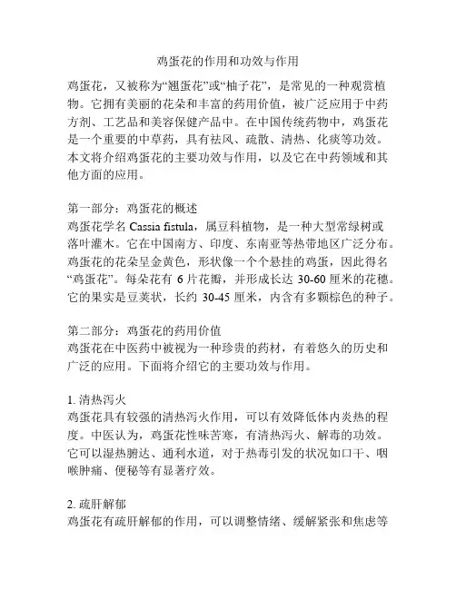 鸡蛋花的作用和功效与作用