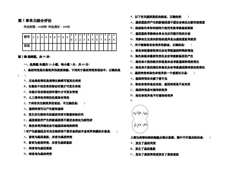 《红对勾》2020-2021学年高一生物人教版必修二 第5章单元综合评估测试