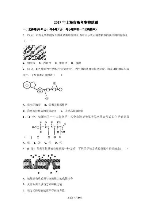 上海市高考生物试卷及解析