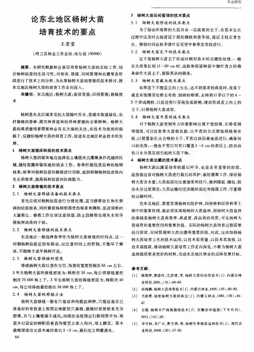 论东北地区杨树大苗培育技术的要点