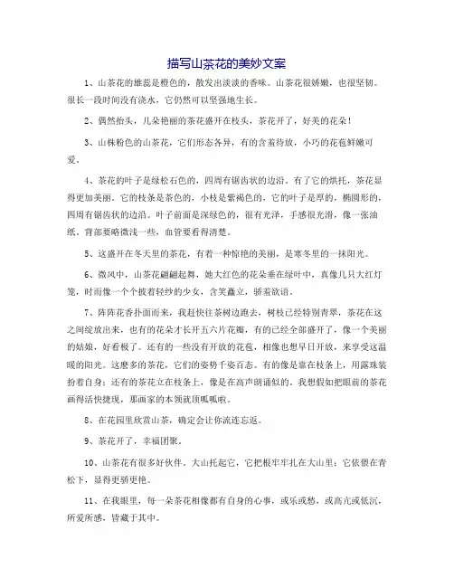 描写山茶花的优美文案
