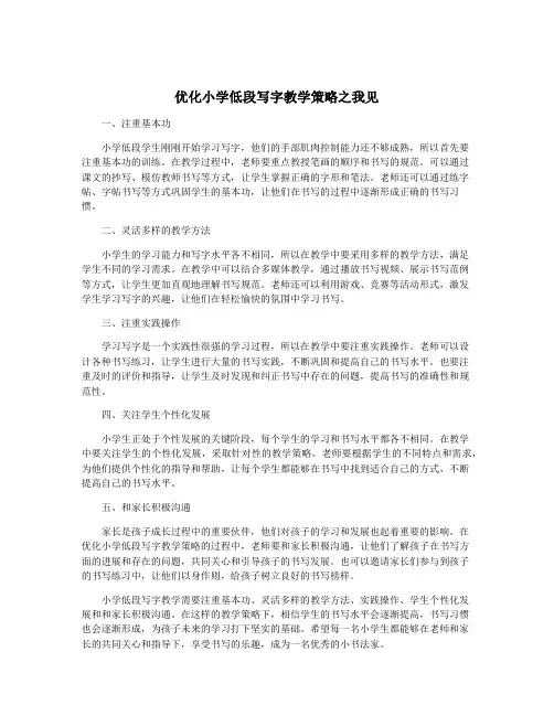 优化小学低段写字教学策略之我见