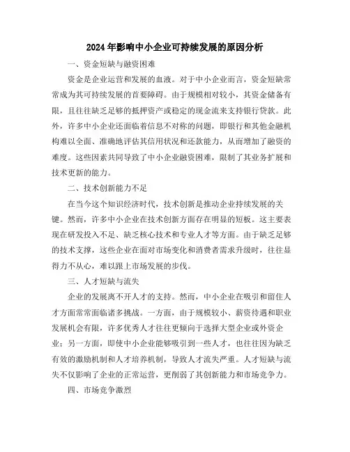 2024年影响中小企业可持续发展的原因分析