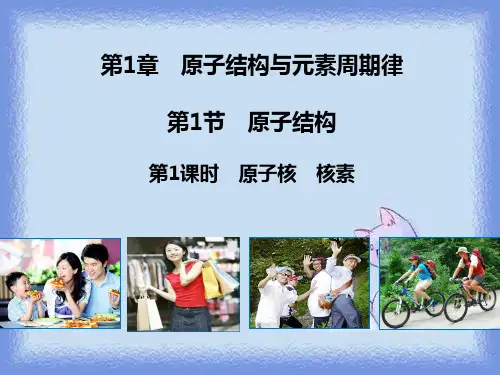 核素1精品课件