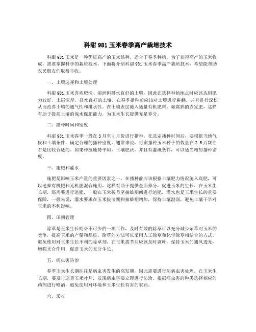科甜981玉米春季高产栽培技术