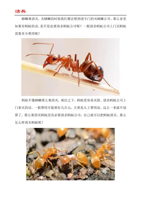 上门灭蚂蚁公司一次多少钱
