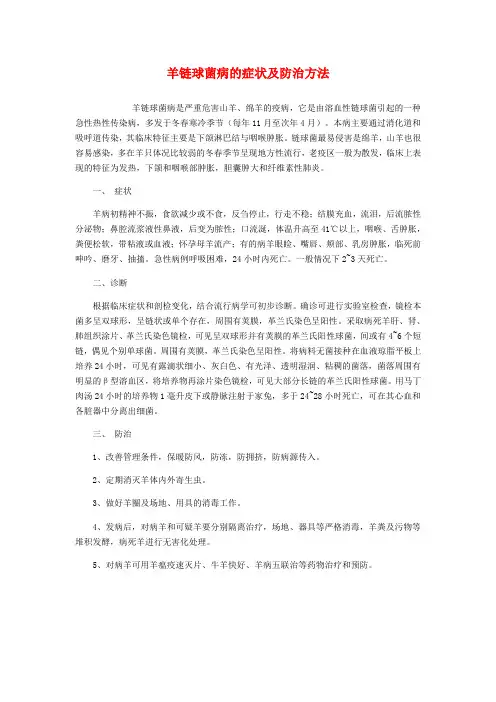 羊链球菌病的症状及防治方法