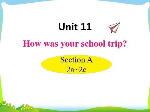 Unit11 Section A(2a~2c)  人教版七年级英语下册 
