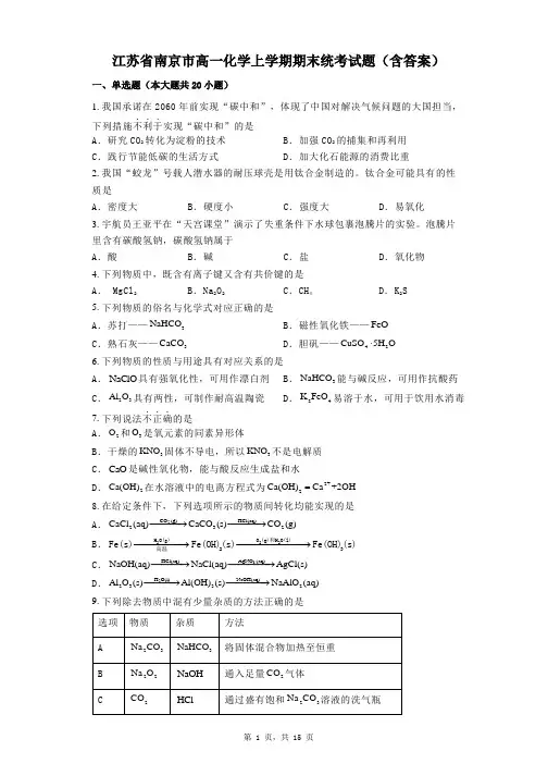 江苏省南京市高一化学上学期期末统考试题(含答案)