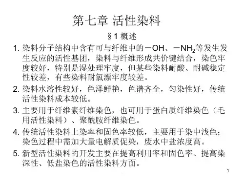 活性染料PPT课件