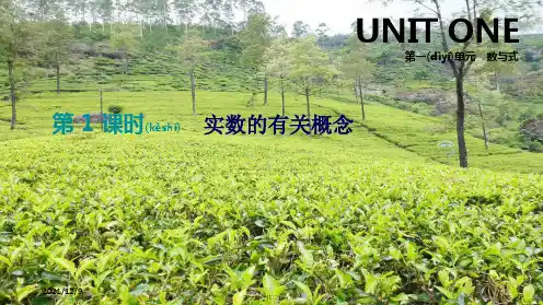 中考数学总复习 第一单元 数与式 第01课时 实数的有关概念课件