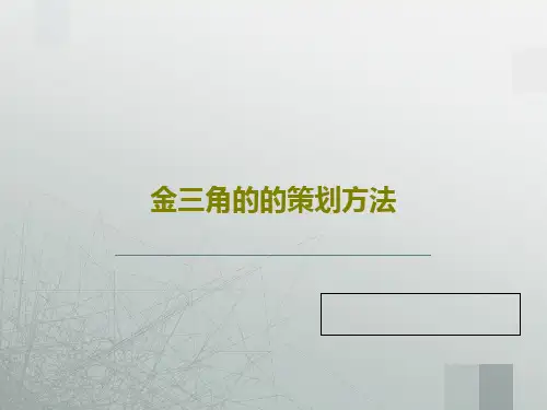金三角的的策划方法36页PPT