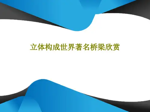 立体构成世界著名桥梁欣赏共15页文档