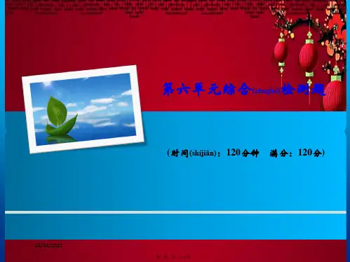 九年级语文下册 第六单元综合检测课件下册语文课件