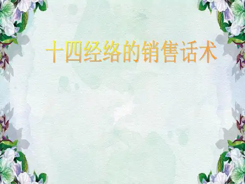 十四经络销售话术.ppt