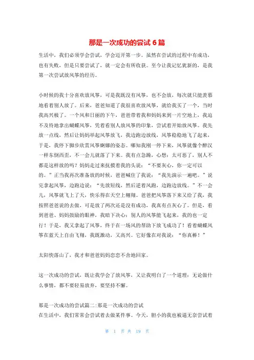 那是一次成功的尝试6篇