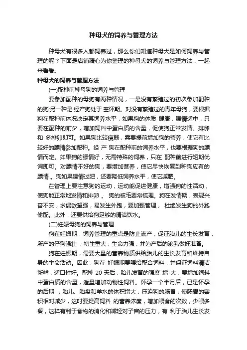种母犬的饲养与管理方法
