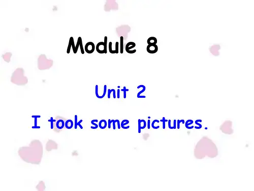 外研社(三起)小学英语四年级下册Module 8《Unit 2 I took some pictur