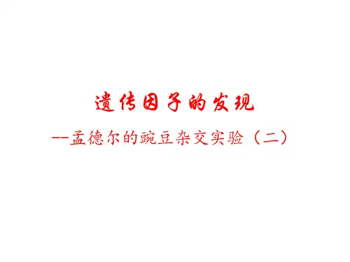 豌豆杂交实验二