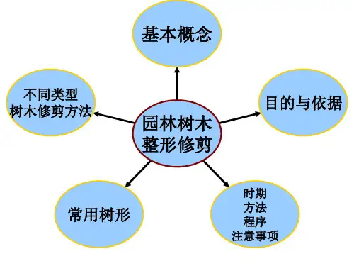 园林树木整形修剪理论与方法PPT课件