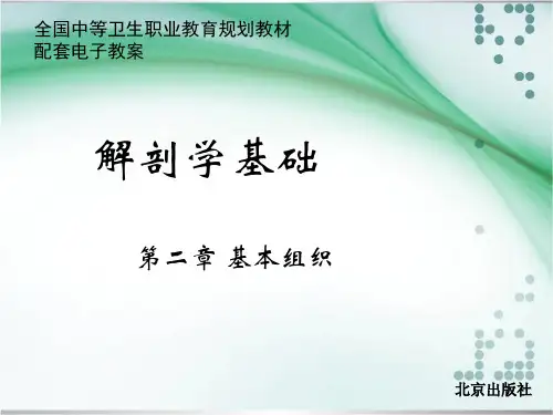 第二章 基本组织 解剖学基础中职课件