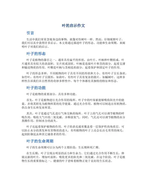叶的启示作文
