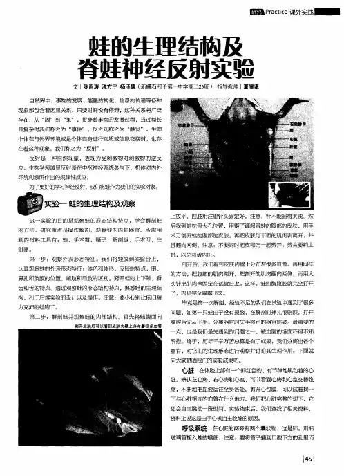 蛙的生理结构及脊蛙神经反射实验