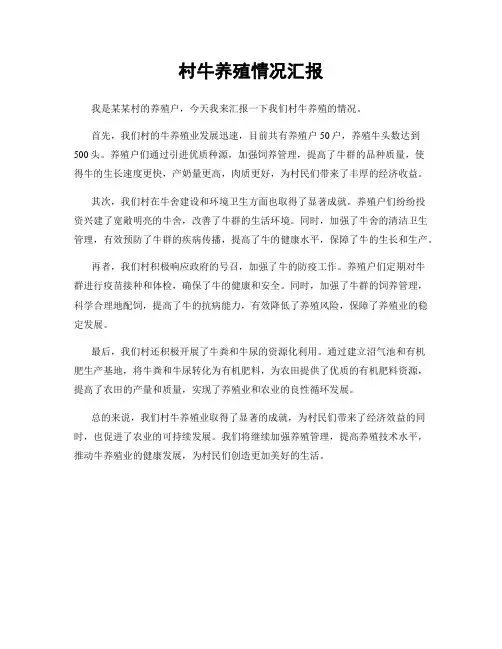 村牛养殖情况汇报