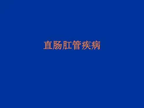 肛管直肠疾病PPT课件
