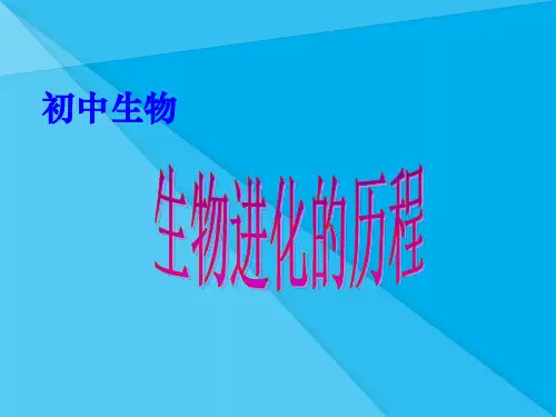 生物进化的历程PPT课件12 人教版优秀课件